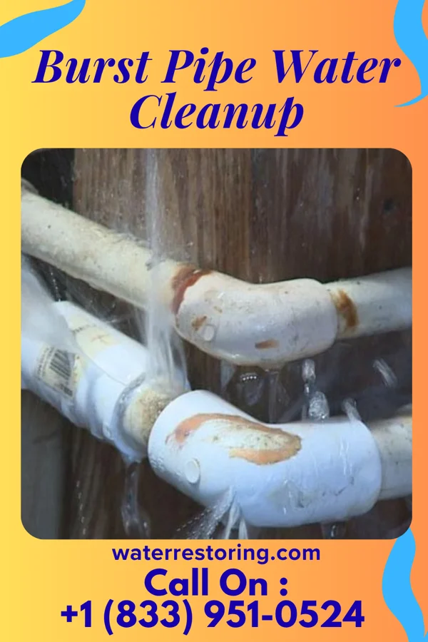 Burst Pipe Water Cleanup in Ocean Gate, NJ