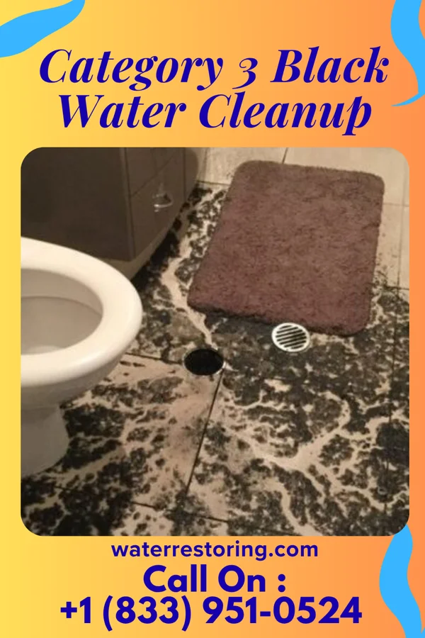 Category 3 Black Water Cleanup in Ocean Gate, NJ