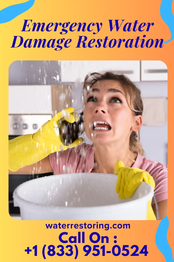Emergency Water Damage Restoration in Ocean Gate, NJ