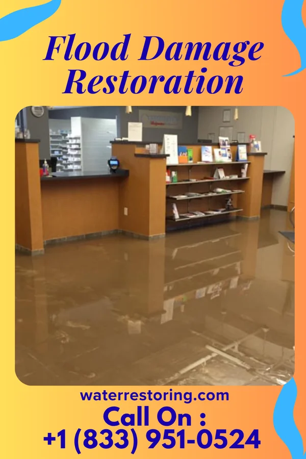 Flood Damage Restoration in Ocean Gate, NJ